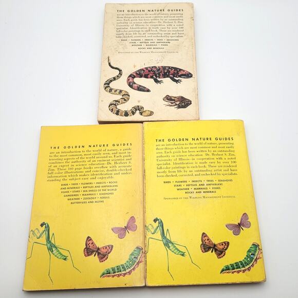 Vintage Golden Nature Guides Insects & Reptiles Books Lot 1950s Set of 3 - Picture 4 of 8